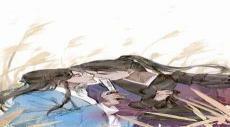 沈兰舟q版萌图