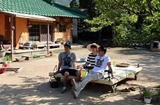 朱雀时代少年团抄袭