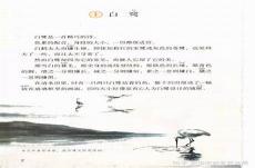 白鹭这篇课文的生字组词