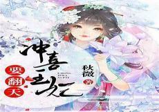 齐齐读小说网